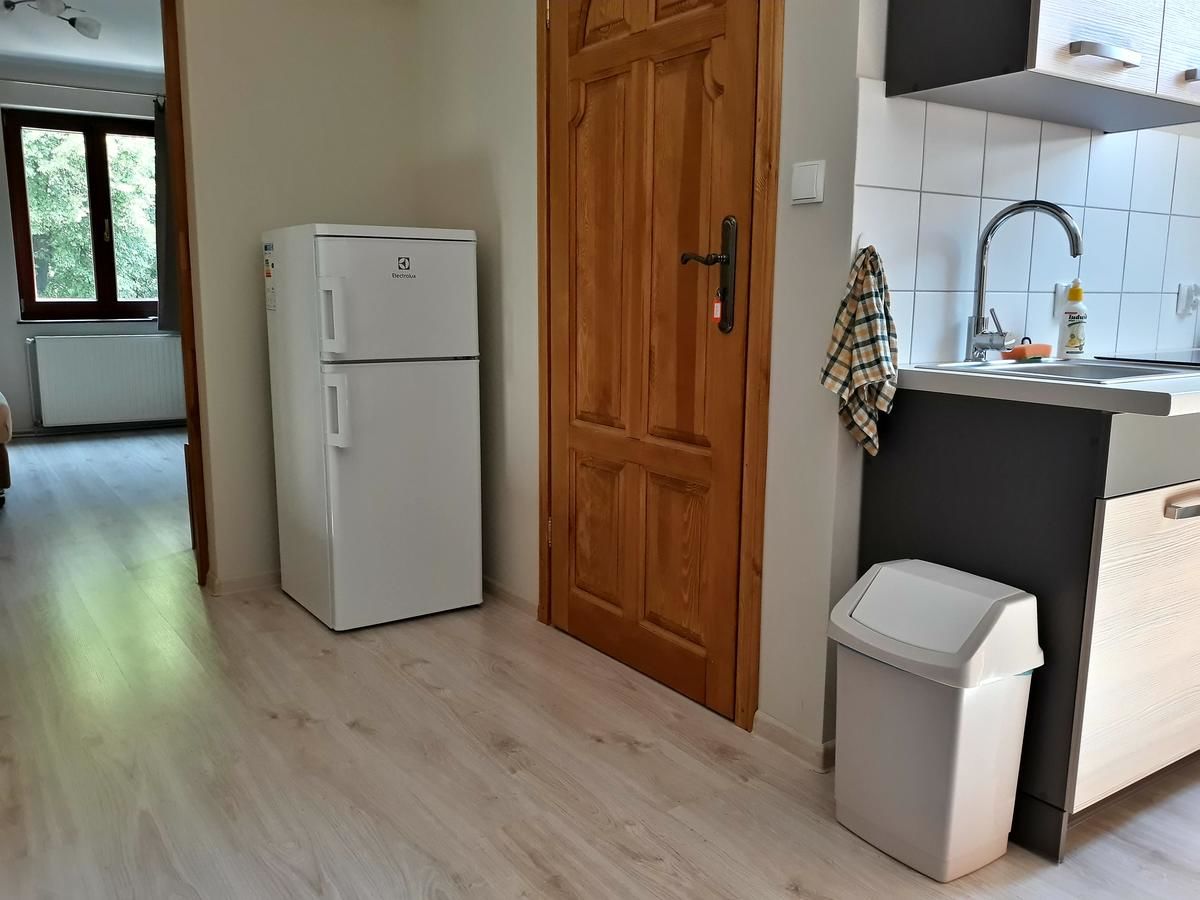 Апартаменты Apartament Złota Palma Лёндек-Здруй-13